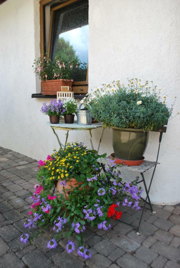 Homestay Cozy Room Markdorf Esterno foto