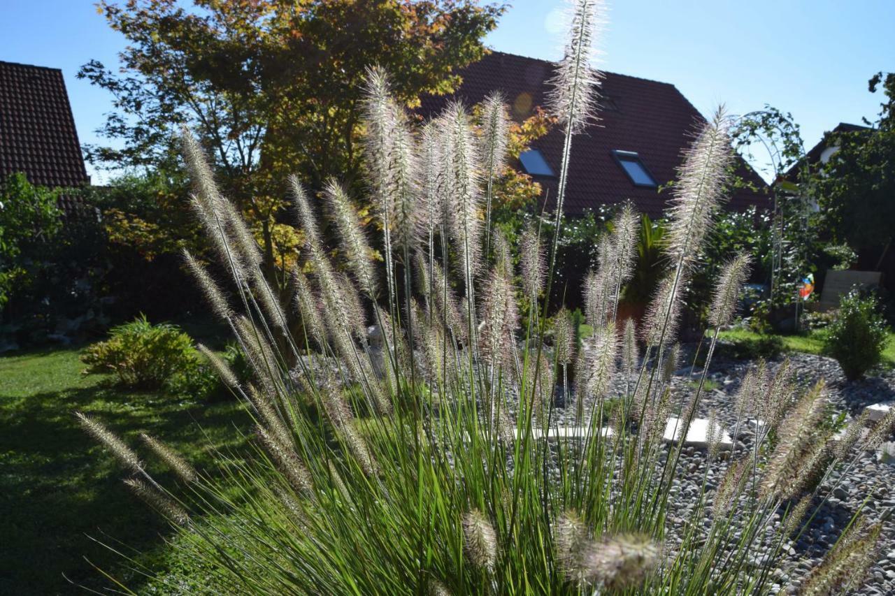Homestay Cozy Room Markdorf Esterno foto